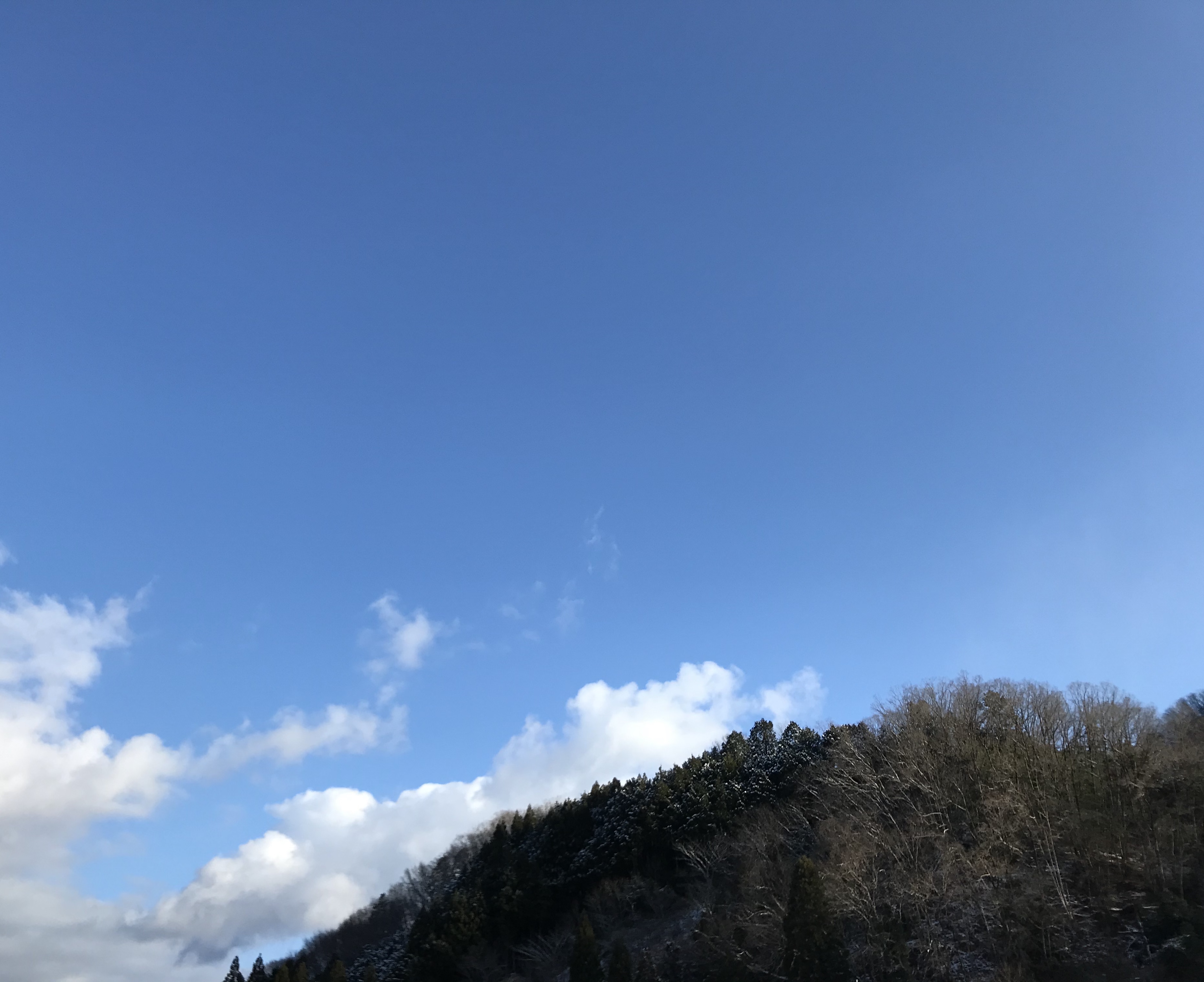S__14336009