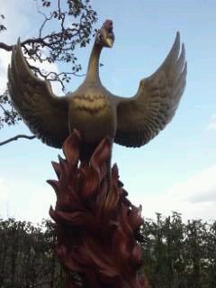 20110131_hinotori.jpg
