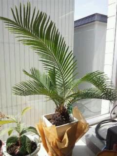 20110410_100238.jpg