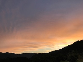 0621-9